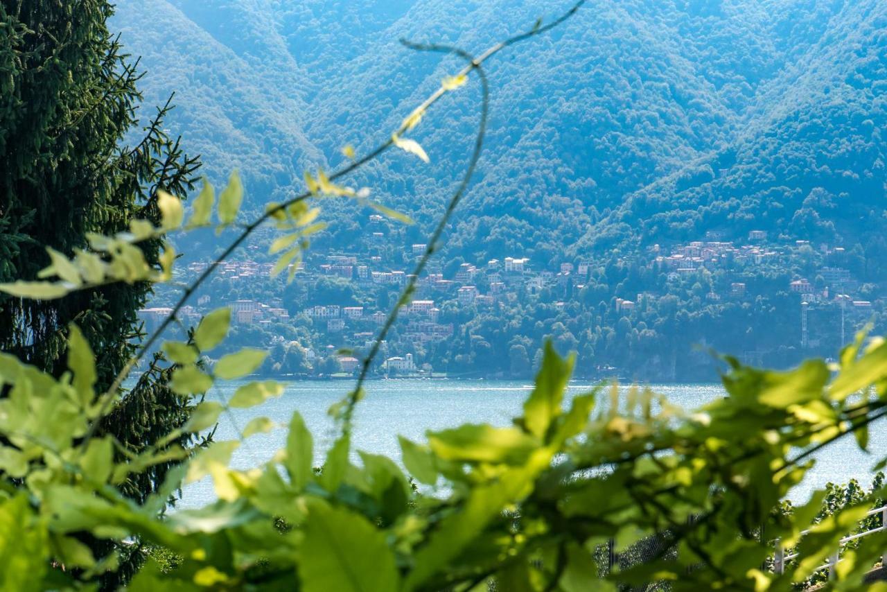 Villa Vittoria - The House Of Travelers Cernobbio Eksteriør billede